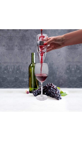 Koi Artisan Weinbelüfter tragbar und kompakt zum Belüften von Weinen ideal als Geschenk. Stilvolle Verpackung inklusive Weinstopfen - B07P8M38T2H