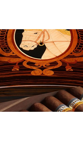 Zigarrenschachtel Barware Zigarrenkasten Luftfeuchtigkeitsdose Hochleistungszigarrenschrank Doppelschicht Zigarrenschrank Luftfeuchtigkeitskasten Luftfeuchtigkeitsschrank Zigarettenschachtel lackiert - B09Y35KW2VA