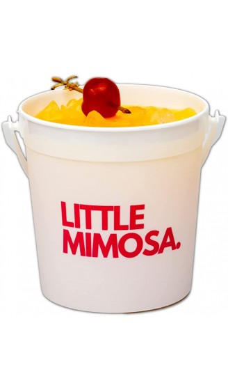 TIPSY UMBRELLA "Little Mimosa" Cocktail- Rumeimer aus Kunststoff wiederverwendbar 10 Stück Pink - B09F2TCD3JT