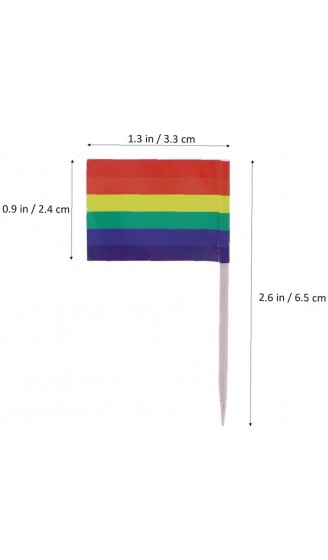 TOSSPER 100pcs Racing Flag Zahnstocher Appetizer Ranbow Flagge Picks Fruit Sticks LGBT-Party-Kuchen-Dekoration Zahnstocher - B096QJDDQ8A
