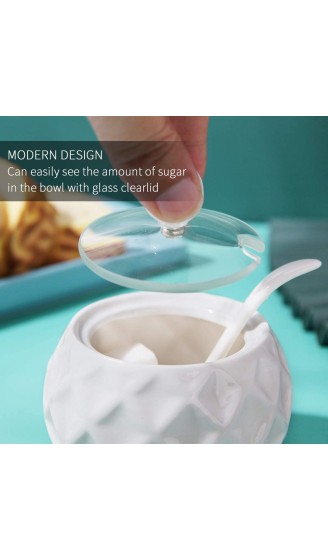 Chase Chic Zuckerdose Keramische Moderne Zuckerdose Porzellan-Zuckerdose mit klarem Glasdeckel und Löffel für Kaffeebar Frühstück Küche und Haus 250 ml8.8oz - B08QY9S9FCY