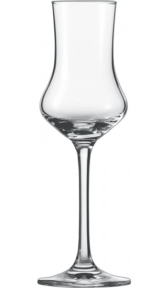 Schott Zwiesel WHISKYBECHER PARIS 60 Whiskyglas Tritan Kristalglas Transparente 8 cm 6 & GRAPPA-GLAS CLASSICO 155 Grappaglas Tritan Kristalglas Transparente 5.8 cm 6 - B09N43W284D