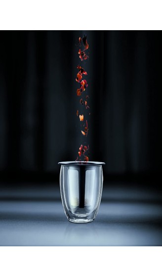 Bodum TEA FOR ONE Teeglas mit Kunststofffilter Doppelwandig Isoliert 0,35 liters schwarz - B003D3NC1AL