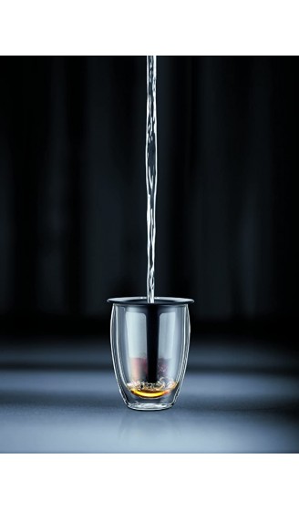 Bodum TEA FOR ONE Teeglas mit Kunststofffilter Doppelwandig Isoliert 0,35 liters schwarz - B003D3NC1AL