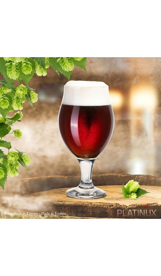 PLATINUX Biertulpen Biergläser Set 6 Teilig 500ml max. 560ml Bierkrüge aus Glas Bierschwenker Pilsgläser Altbierglas 0,5 Liter - B08H2GPXWJ2