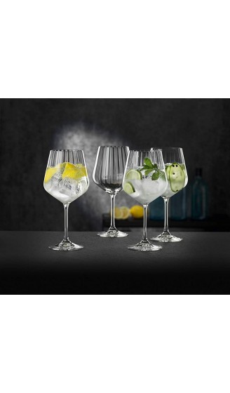 Spiegelau & Nachtmann 4-teiliges Gin & Tonic-Set 640 ml Höhe: 22,2 cm Gin & Tonic 102892 - B07W2VTSHRH