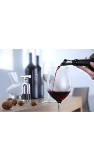 WMF Vino Dekantierausgießer mit Belüfter 8 cm Cromargan Edelstahl Kunststoff Weinausgießer - B004RDXFQ26