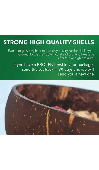 Herbatica Kokosnuss Schalen 2er Set mit Holzlöffeln | 100% Natürlich & Vegan Handgefertigt mit Kokosöl poliert | Kokosschalen Schüssel Set Kokoslöffel - B07HKNPXM9T